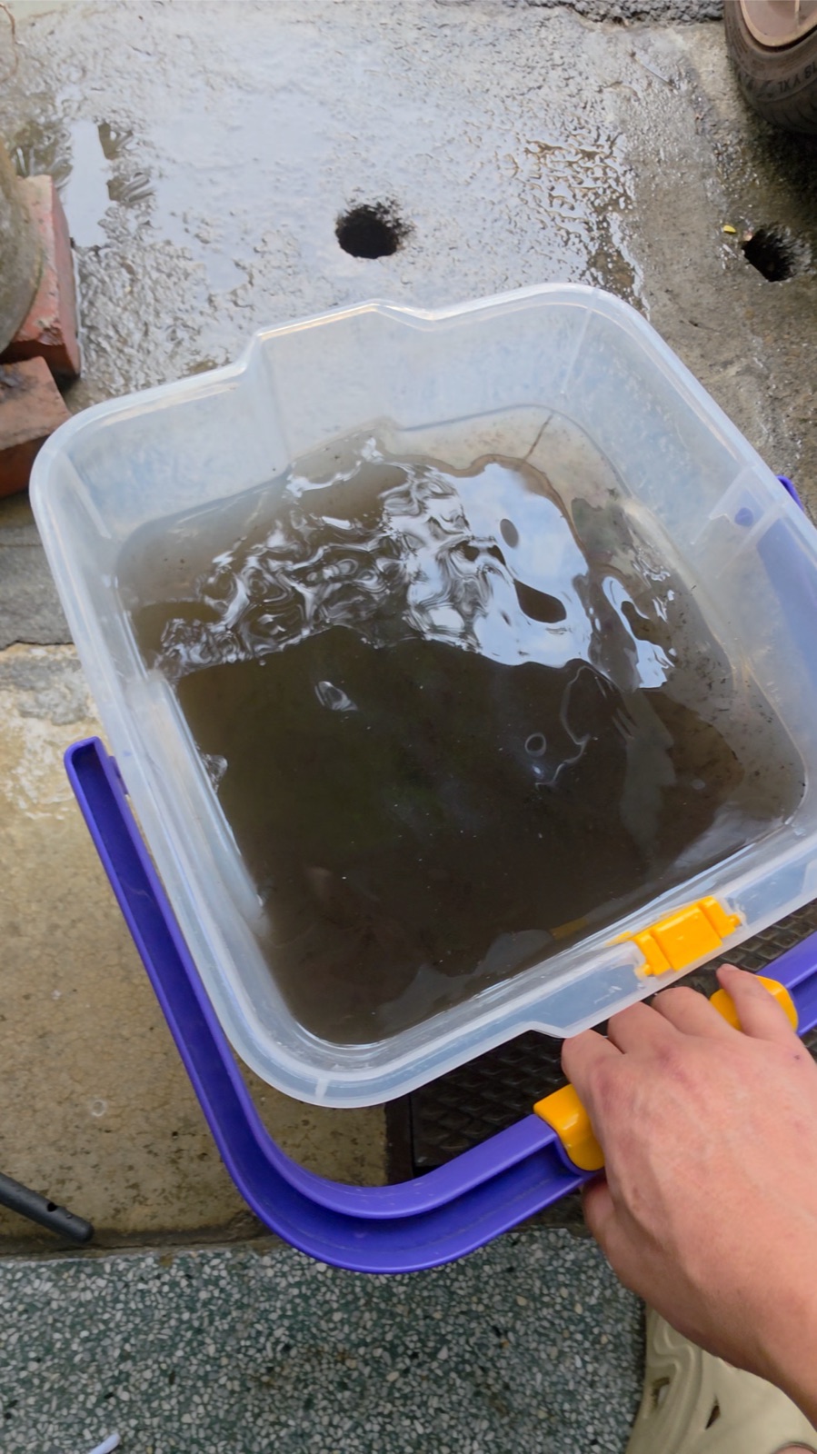 六甲聲寶冷氣清洗後洗出的髒污水，顯示內部髒污累積嚴重