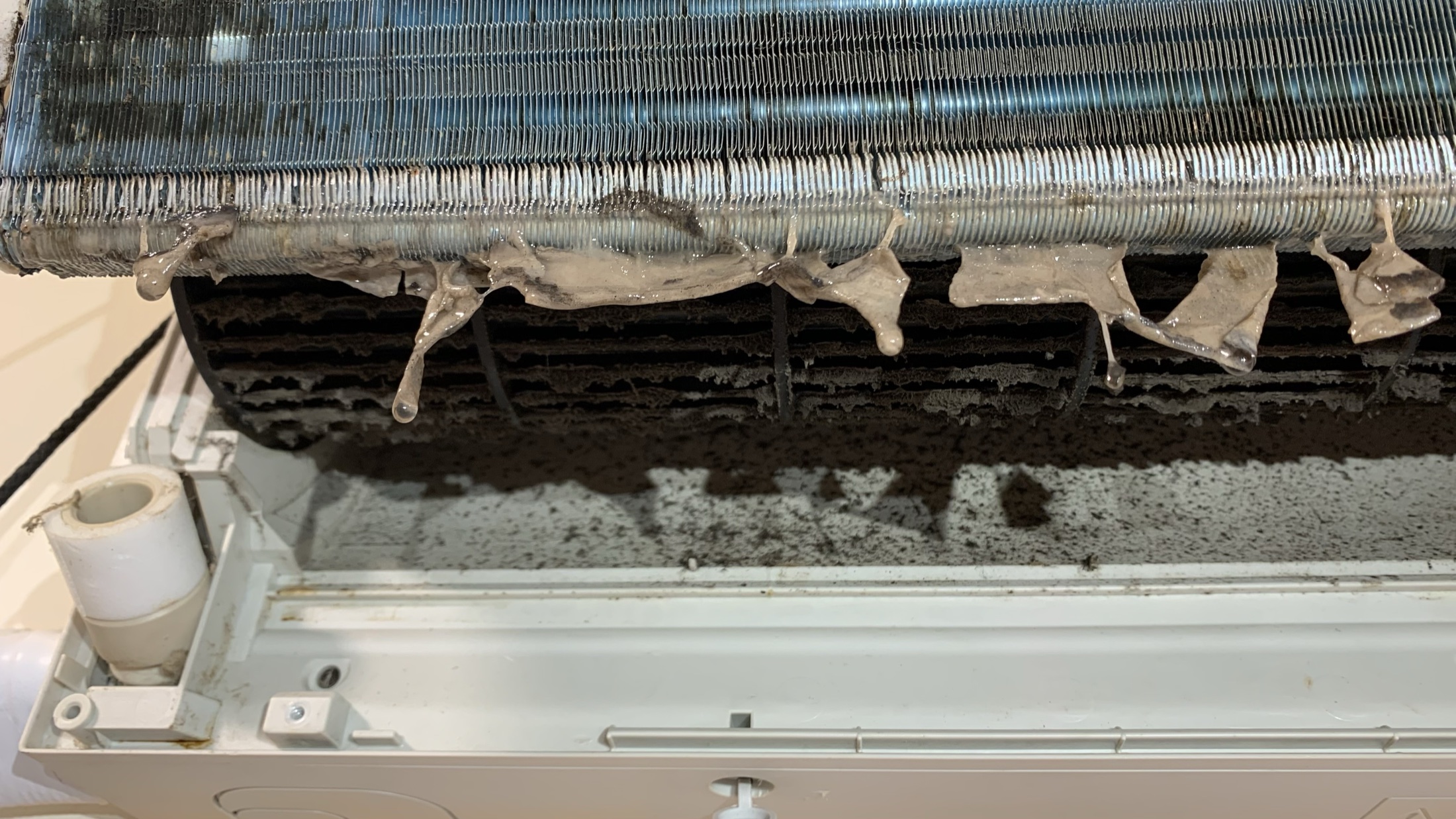 冷氣風鼓與內部累積大量黴斑和髒污